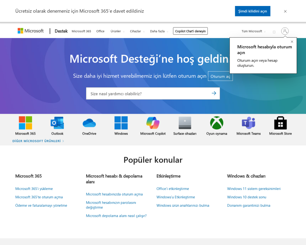 Screenshot of support.microsoft.com
