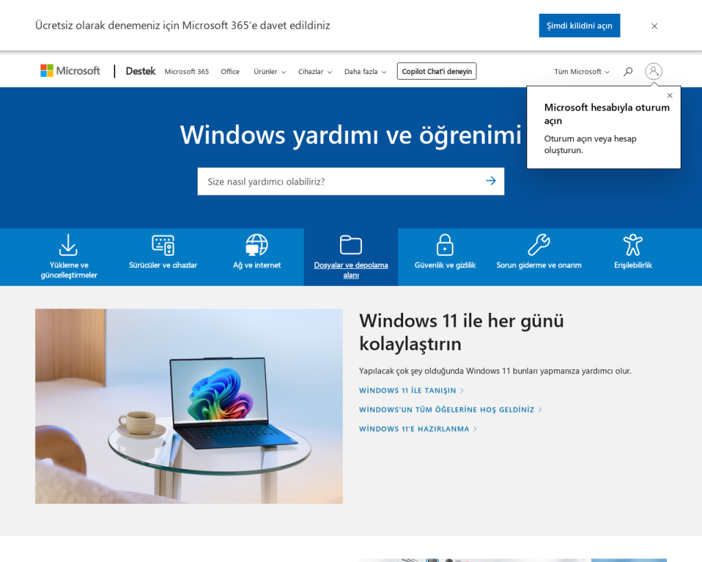 Screenshot of support.microsoft.com